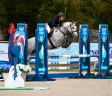 Cavalla PFS Pony Francese da Sella In vendita 2022 Grigio