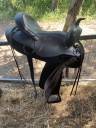 Sella western   18" - 2020
