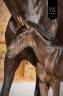 Puledra KWPN Cavallo da Sport Neerlandese In vendita 2026 Nero ,  Perfect Silver Legend