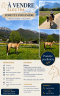 Cavalla PFS Pony Francese da Sella In vendita 2014 Isabella