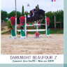 Cavalla Zangersheide In vendita 2019 Baio scuro ,  Dominator 2000 Z