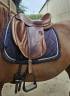 Sella da dressage Darroze GT dressage  17" - 2023