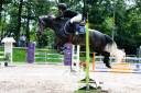 Cavalla PFS Pony Francese da Sella In vendita 2018 Grigio ,  Juke Box du Buhot, PFS