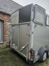 Trailer Ifor Williams HB511 2 Cavalli 2019 Occasione