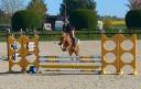 Cavalla PFS Pony Francese da Sella In vendita 2021 Sauro