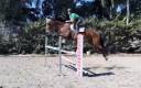 Castrone salto