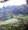 Altro - Altro contratto Altro - Vosges Francia
