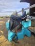 Sella da dressage   17.5" - 2024