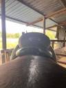 Sella da dressage Kieffer  17" - 2016