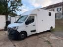 Van per Cavalli AP Petit Renault Master 2021 Occasione