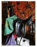 Sella da dressage Devoucoux  17.5" - 2013