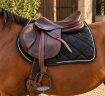 Sella mista CWD  17" - 2019