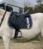 Sella mista Wintec  17" - 2023