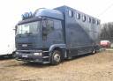 Camion per Cavalli Iveco  1997 Occasione