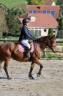  Kentucky Occasione