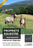 Azienda equestre In vendita Fribourg