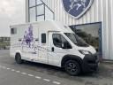 Van per Cavalli Barbot Ducato 2024 Occasione