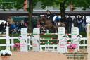 Cavalla Sella francese 2014