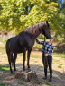 Intero Quarter Horse In vendita 2023 Nero