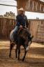Cavalla Paint Horse In vendita 2024 Scuro ,  FOREST DU TR