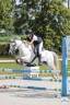 Fattrice Welsh Poney (Sezione B) In vendita 2010 Grigio