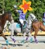 Vendo Pony Arabo 