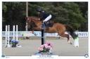 Castrone PFS Pony Francese da Sella Noleggio 2022 Sauro ,  OPPLALA ST HYMER