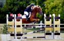 PONY IN VENDITA   LUNA