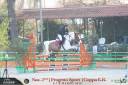 Hopla &ndash; Pony sportiva dal cuore speciale