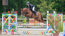 Castrone Sella Francese In vendita 2020 Sauro ,  QLASSIC BOIS MARGOT