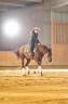 Castrone Quarter Horse In vendita 2019 Sauro