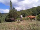 Ferme de la Salamandre 