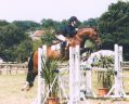 Willoway Montmain Gold Charm - New Forest 1994 ,  Woodrow Acting Master