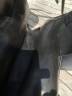 Sella da dressage Stubben Avalon 17.5" - 2012