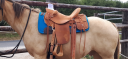 Sella western  wade 16" - 2018