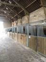 Haras du coin du bois  