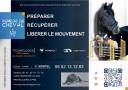 Remede de Cheval | Salute del cavallo  > Medicine alternative cavalli > Massaggio Equino