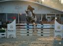 Cavalla sBs Cavallo da Sport Belgio In vendita 2018 Grigio ,  COULEUR LATOUR