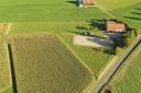 Azienda equestre In vendita Fribourg