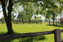 Centro di stagione cavallo In vendita Calvados