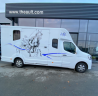 Van per Cavalli Renault Master 2020 Occasione