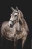 Puledra Lusitano In vendita 2021 Grigio