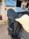 Sella mista Wintec  17" - 2021