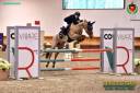 Vendita pony da salto ostacoli 