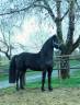Castrone Arabo Frisone In vendita 2022 Nero ,  Ma&iuml;ko DLB Classic Innovation