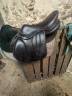Sella da salto ostacoli Forestier  17.5" - 2021