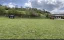Propriet&agrave; equestre In vendita Yonne