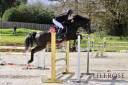 Valmont de Fougnard - PFS Pony Francese da Sella 2009 ,  KANTJE'S RONALDO(NLD) NF 1987