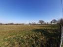 Azienda ovina In vendita Deux-Sèvres