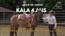 Cavalla Quarter Horse In vendita 2020 Grullo ,  JAZ GC DE PLATA